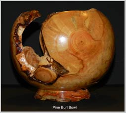 Pine Burl