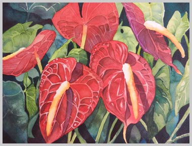 Anthurium